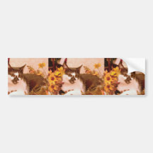 Inländische kurzhaarige Schwarzweiss-Katze gehockt Autosticker