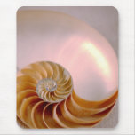 Innerhalb des Nautilus Mauspads