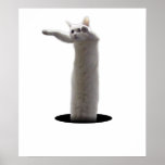 interdimensional LongCat Posterdruck