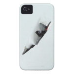Iphone 4/4s Raubvogel Abdeckungs-F-22 iPhone 4 Case-Mate Hüllen