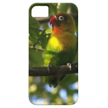 iPhone 5 Fall mit tropischem Vogel auf Niederlassu Etui Fürs iPhone 5