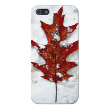 IPhone der Lament des Herbstes Fall iPhone 5 Hülle