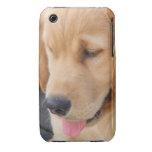 IPhone Fall mit golden retriever-Welpen Case-Mate iPhone 3 Hüllen
