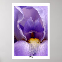 Iris03 Plakatdrucke