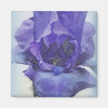 Iris-Blues Magnete