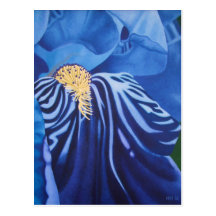 Iris-Postkarte