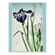 Iris Ukiyoe Postkarten