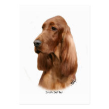 Irischer Setter 9Y177D-97 Visitenkarte