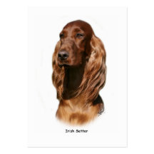 Irischer Setter 9Y322D-116 Visitenkarten Vorlage