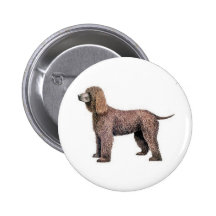 Irisches WasserSpaniel Anstecknadel