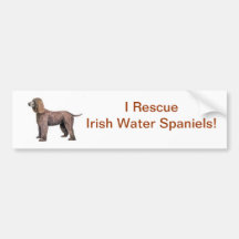 Irisches WasserSpaniel Auto Sticker
