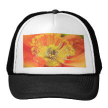 Island-Mohnblume Baseball Caps