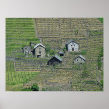 Italien-Wein-Felder Plakat