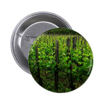ITALIENISCHER WEINBERG TOSKANA BUTTONS