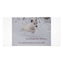 Jack-Russell-in-snow-1 Photokarten