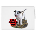 Jack Russell Karten