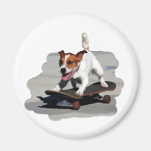 Jack-Russell-Terrier auf Skateboard Kühlschrankmagnete