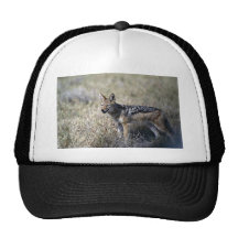Jackaljagd Trucker Mütze