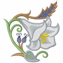 Jacobean Lilie