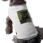 jaguar9x12 hunde t shirts