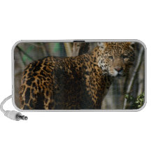 Jaguar-Foto-Lautsprecher