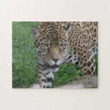 "Jaguar" Puzzlespiel