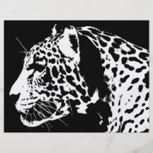 Jaguar Vollfarbige Flyer