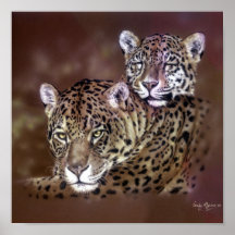 Jaguare Posterdrucke