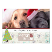 Jahreszeitgrußweihnachtshaustier-Fotokarten Ankündigung