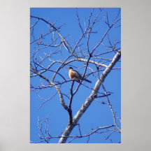 Januar Plakat