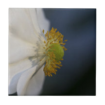Japanische Anemonen-Blumenfliese