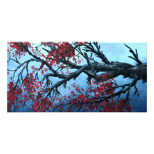 japanische Kirschblüten-Blumenbaum-Orientale-Kunst Photo Karte