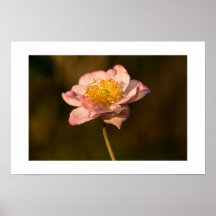 Japanisches Anemonen-Plakat