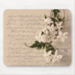 Jasmin auf altem Skripthandschrift mousepad