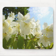 Jasmin-Blumen Mousepad