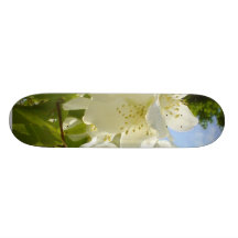 Jasmin-Blumen Skate Board