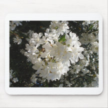 Jasmin-Blüte Mauspad