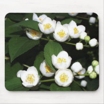 Jasmin Mousepads