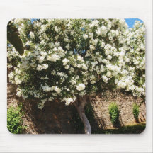 Jasmine Tree In Bloom Mousepads