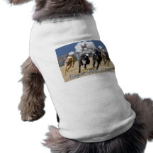 Jeder benötigt einen Traum Hundeshirts