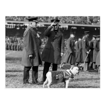 Jiggs kennt Fußball: 1923 Postkarten