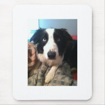 JJ~The Border-Collie Mousepad