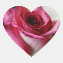 Jolene Rose Sticker