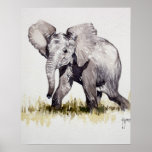 Junger Elefant-Druck Posterdrucke