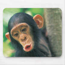Junger Schimpanse (Pantroglodytes) Mousepad