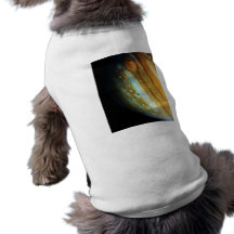 Jupiter-Nahaufnahme Haustier T-shirt
