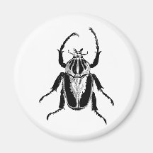 Käfer-Insekten-Wanzen-Vintager hölzerner Stich Magnets