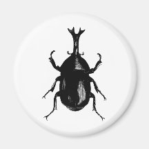 Käfer-Käfer-Insekten-Wanzen-Vintager hölzerner Sti Kühlschrankmagnete