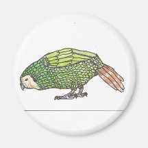 Kakapo-Magnet Kühlschrankmagnete
