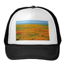 Kalifornien-Mohnblumen in den Blumen der vollen Bl Netzkappe